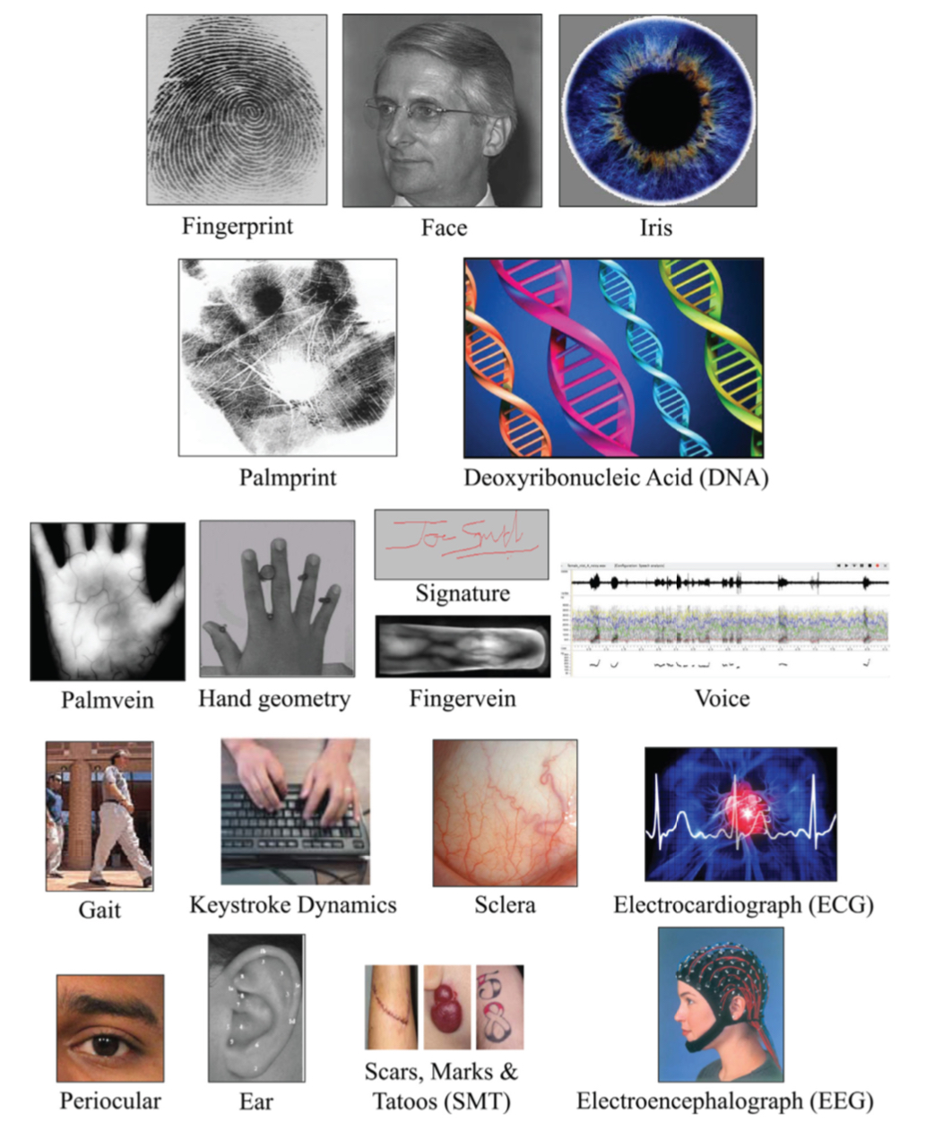 Biometrics