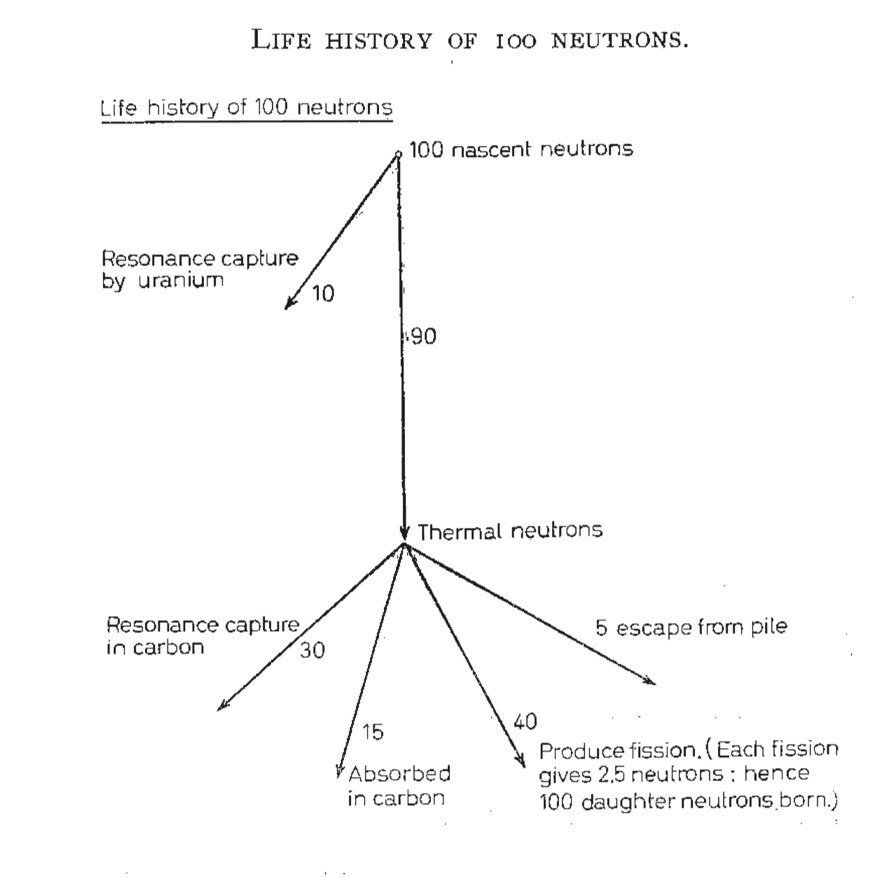 Life History of Neutrons