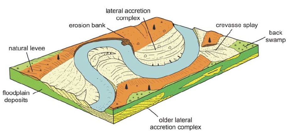 Basic Sedimentologic